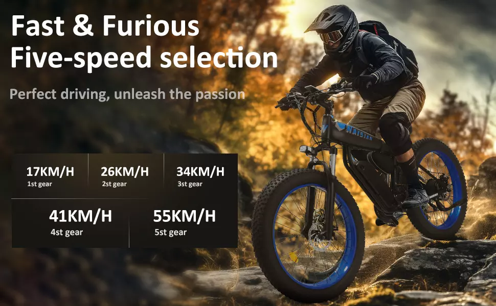 Naisian 26″ Electric Bike for Adults Description 3