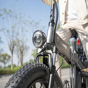 Naisian 48V Electric Bike for Adults 11