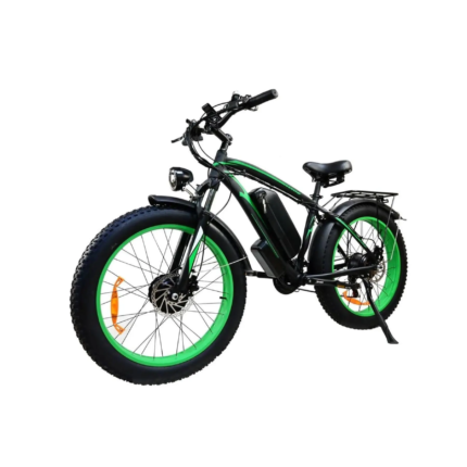 Naisian Electric Bike with 1000W Motor