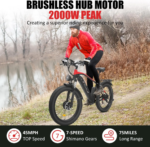 Naisian Mountain Electric Bike for Adults 1