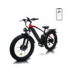 Naisian Mountain Electric Bike for Adults