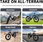 Naisian Mountain Electric Bike for Adults 6