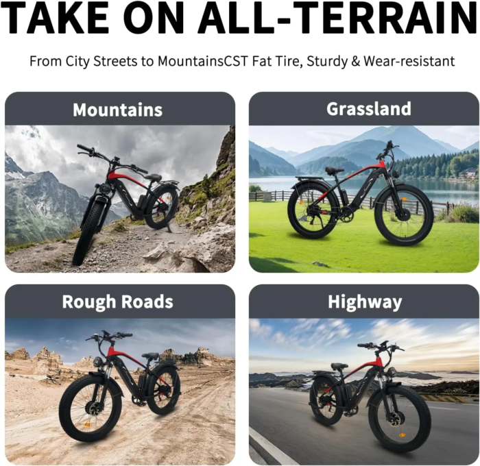 Naisian Mountain Electric Bike for Adults 6