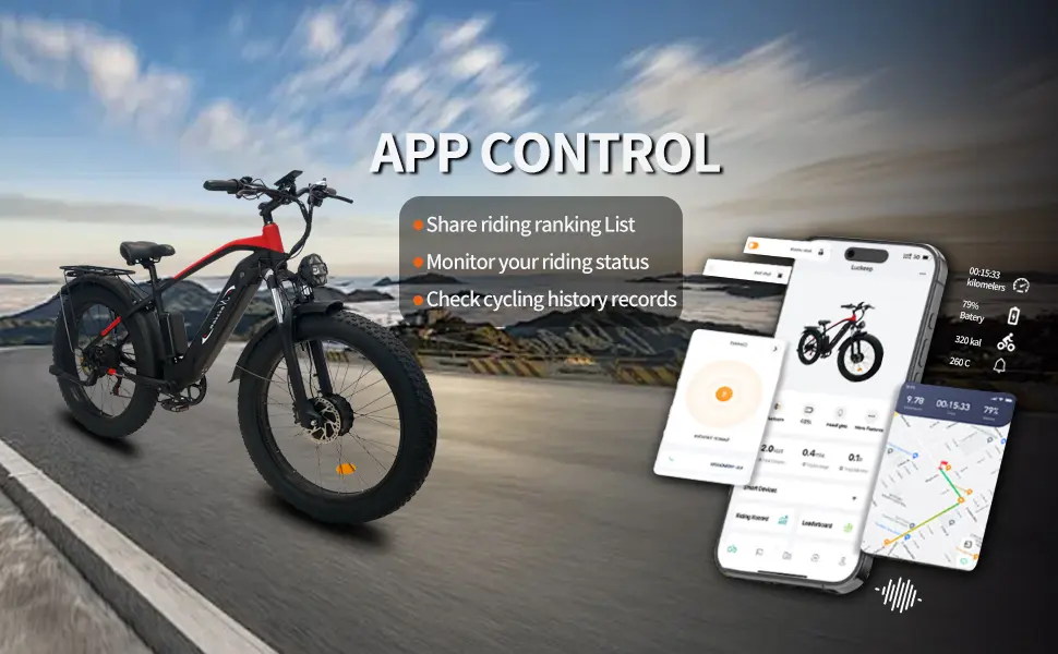 Naisian Mountain Electric Bike for Adults Description 6